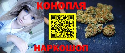 дмт Новокубанск