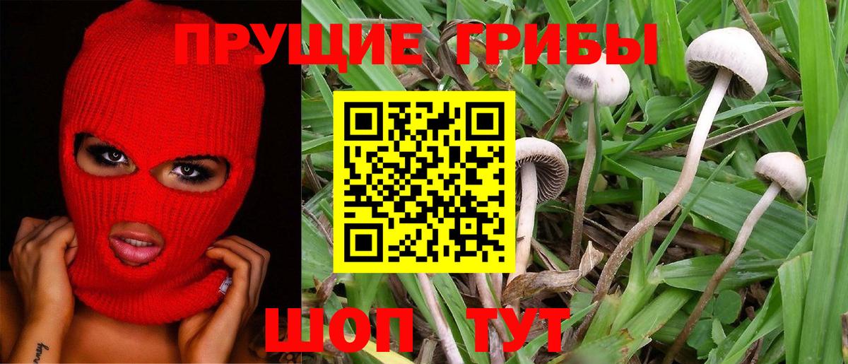 Галлюциногенные грибы мухоморы  Псилоцибиновые грибы Magic Shrooms  Семёнов  Вход с VPN 